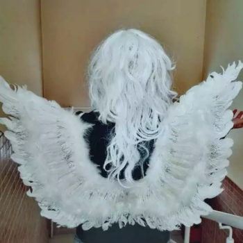 Крылья ангела 90*45 см