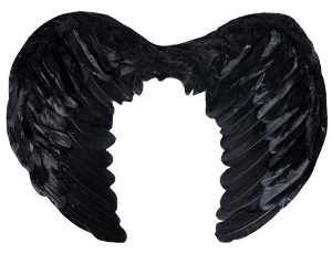 Крылья ангела 40*55см перьевые черный