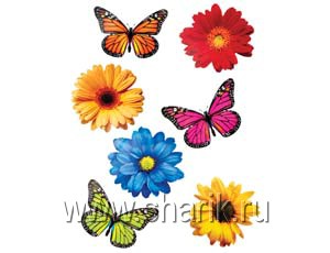 Баннер-комплект 'Бабочки Цветы' 12 шт